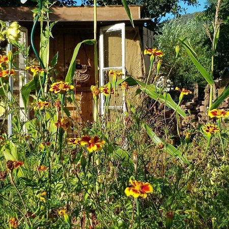 Le Jardin Des Gouttes Bed and Breakfast Rougegoutte Exteriör bild
