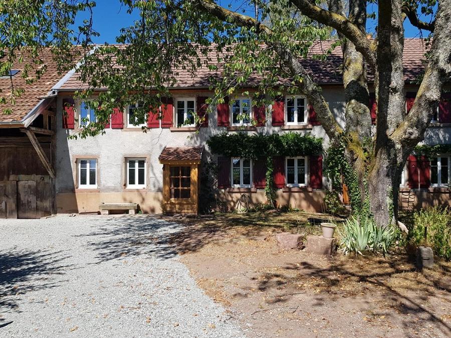 Le Jardin Des Gouttes Bed and Breakfast Rougegoutte Exteriör bild